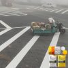 thermoplastic paint exporter to Cuba, 25kg thermoplastic paint exporter to Cuba, 25kg